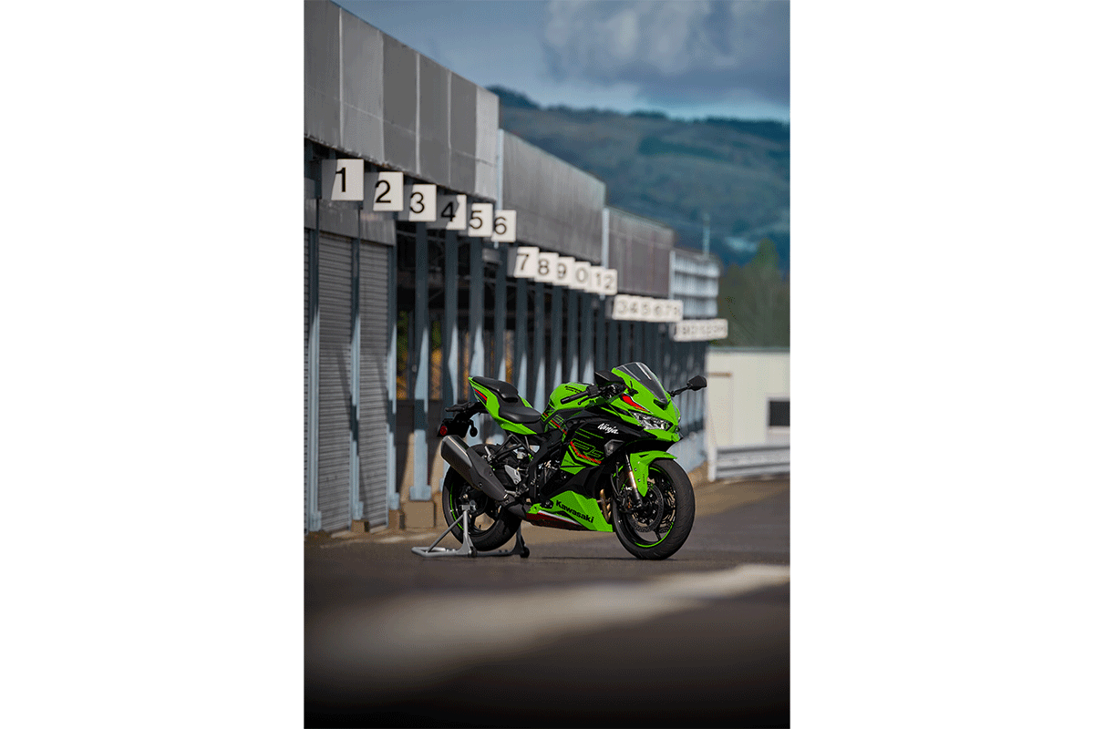 2024 NINJA ZX-4RR