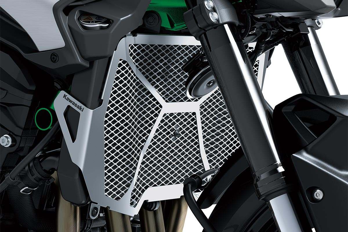2025 Z900 