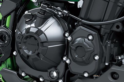 2025 Z900 
