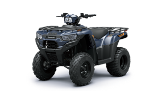 BRUTE FORCE 300