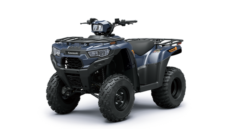 BRUTE FORCE 300