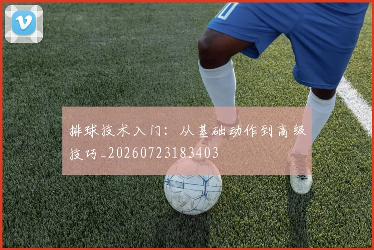 排球技术入门：从基础动作到高级技巧_20260723183403